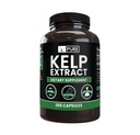 Pure Original Ingredienser Kelp Extract (365 kapsler) Ingen Magnesium eller Rice Fillers, Altid Pure, Lab Verified