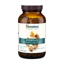 Himalaya Boswellia, Fælles støtte til mobilitet og fleksibilitet, fremmer Tissue Preservation, 250 mg, 240 kapsler