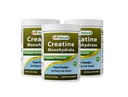 Bedste Naturals Creatinine Monohydrat 1 Lb Pure Powder (1 LB (pakning med 3))