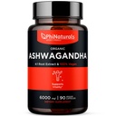 PhiNaturals Organic Ashwagandha Root Extract in Vegan Capsules Equal to 6000 Mg Root - Ashwaganda supplement til mænd og kvinder med 1500 Mg Per Servering 30 Servering - 500mg Per Vegan Capsule 90 Greve