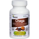 Sayan Siberian Chaga Mushroom Extract - 90 kapsler / 420mg ea - Natural & Wild- Høst Antioxidant Supplement - Immunsystemet Support & Regulere kropsfunktioner - Vegan, Non- GMO, Ingen Fillers eller tilsætningsstoffer