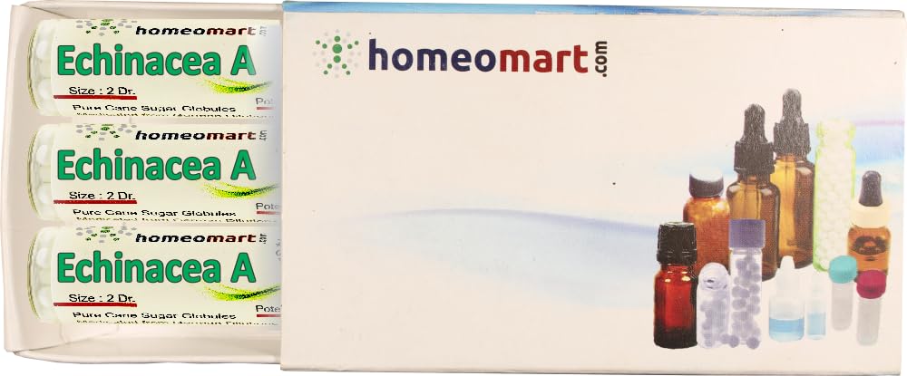 homeomart.com Homeopathy Immunity Supplement Pills | Echinacea Angustifolia Pills in 200C Potency, Pack of 3