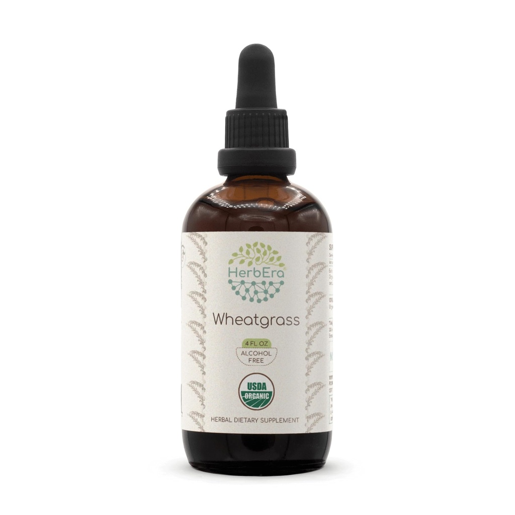 HerbEra Wheatgrass B120 USDA Organic Tincture | Alcohol-Free Extract, High-Potency Herbal Drops, Liquid Supplement | Certified Organic Wheatgrass (Triticum aestivum) Dried Leaf (4 oz)
