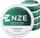 NZE Koffein Free Nootrop Pouches (Wintergreen) - Nootrop Pouches with Alpha GPC, L-Tyrosine & L-Theanine - Ingen sukker eller kunstige sødestoffer - 15 Pouches Per Can - 5 Pack
