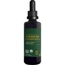 Global Healing USDA Organic Elderberry & Echinacea Liquid Supplement Tincture Note 124; Antioxidant immunforsvar mod skadelige organisationer for voksne og børn, Vegan, Non- GMO, 1- måned Supply (2 Oz)