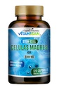 Celulas Madres AFA Stem Natural Cell 120 Kapsler 1000 mg Blue Green Algae Non GMO Gluten Free Aphanizomenon Floss-aquae celula Madreindhold