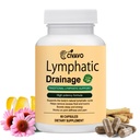Lymphatic Drainage Supplement, Lymphatic Drainage Capsules Natural Herbal for Immune Health & Fluid Balance, with Echinacea, Dandelion, and Burdock, Liposome Formula, 60 Capsules, 30-Day Supply