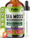 Pella Nutrition Sea Moss Drops med Bladderwrack - 4X Hurtigere absorption end Irish Sea Moss Gel Superfood, Gummies, og kapsler - fordøjelsesfremmende & immunforsvar supplement (Strawberry Lime, 60ml)