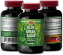 Blue Green Algae Superfood - Blue Green Algae - Blue Green Algae for Immunity - Klamath Shores Blue Green Algae, fordøjelsestillæg, immunsupporttillæg, Blue Green Algae Powder, 1b 60 Caps