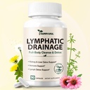 26-in-1 Lymphatic Drainage Supplements - 45 Day Supply, 600mg Echinacea & Dandelion, Lymphatic Drainage Capsules for Immune Health, Daily Lymphatic Wellness, Kidney & Liver Detox Support, 90 Capsules