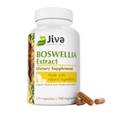 Jiva Botanicals Boswellia Extract Kapsler 700mg per servering - Boswellia Serrata Extract Supplement & Black Pepper - Fælles supporttillæg for normal fælles sundhed - 120 Kapsler (pakke med 1)
