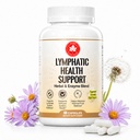 Lymphatic Drainage Supplement, Immune & Lymph System Support, Herbal Blend with Echinacea, Dandelion, Burdock Root, Bromelain, Calendula & Turmeric for Women & Men – 60 Capsules