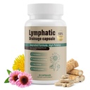 Lymphatic Drainage Capsules Natural Herbal Supplement with Echinacea, Dandelion, Burdock Supports Bloating, Fluid Balance & Daily Lymphatic Wellness Vegan & Non-GMO 60 Capsules