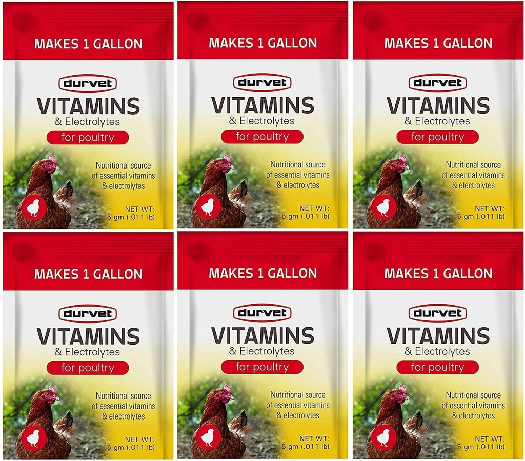 Durvet 6 Pakke Vitamin og Elektrolyter til Fjerkræ, 5 Bedste, Gør 6 Galloner