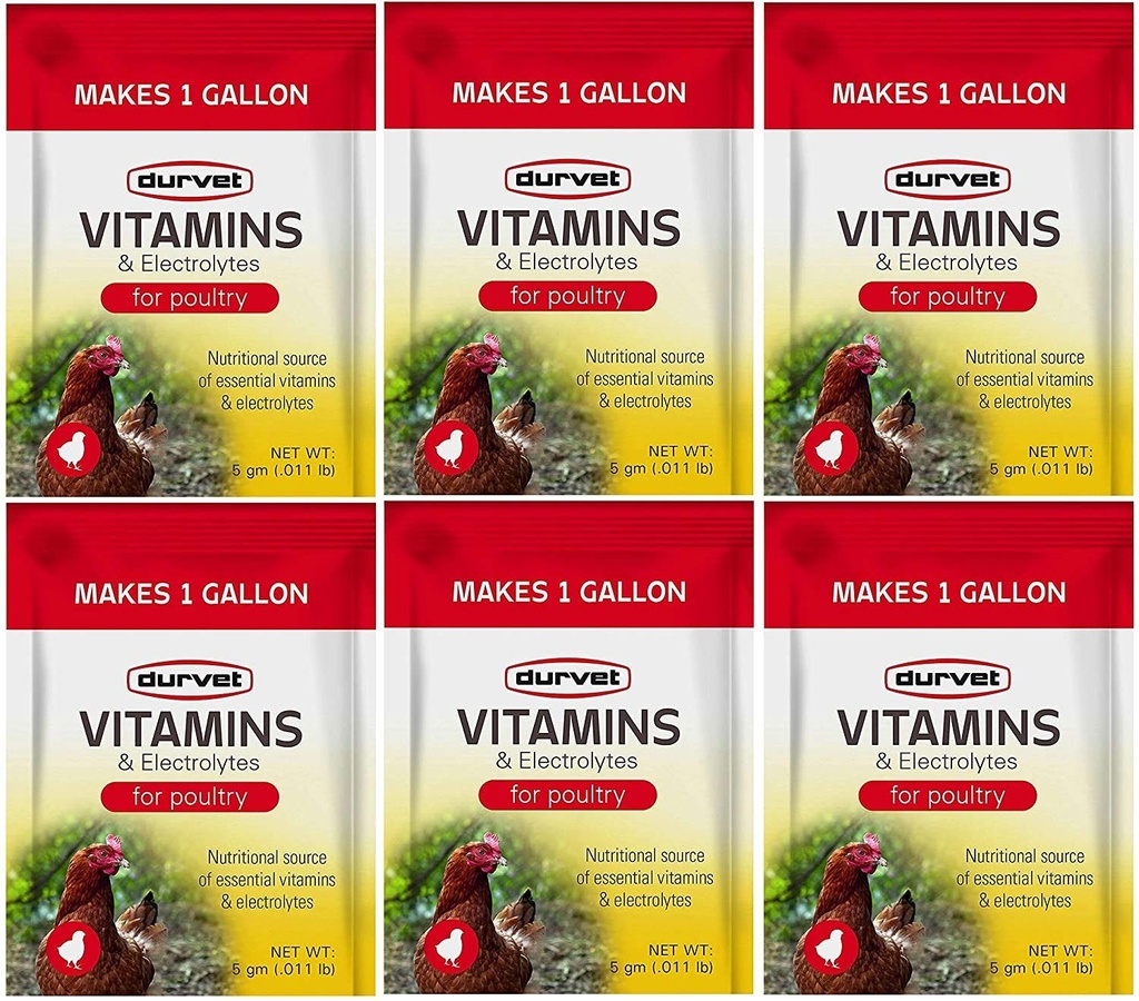 Durvet 6 Pakke Vitamin og Elektrolyter til Fjerkræ, 5 Bedste, Gør 6 Galloner