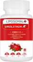 Liposomal Urolithin A Supplement 2000MG for Energy 60 Kapsler