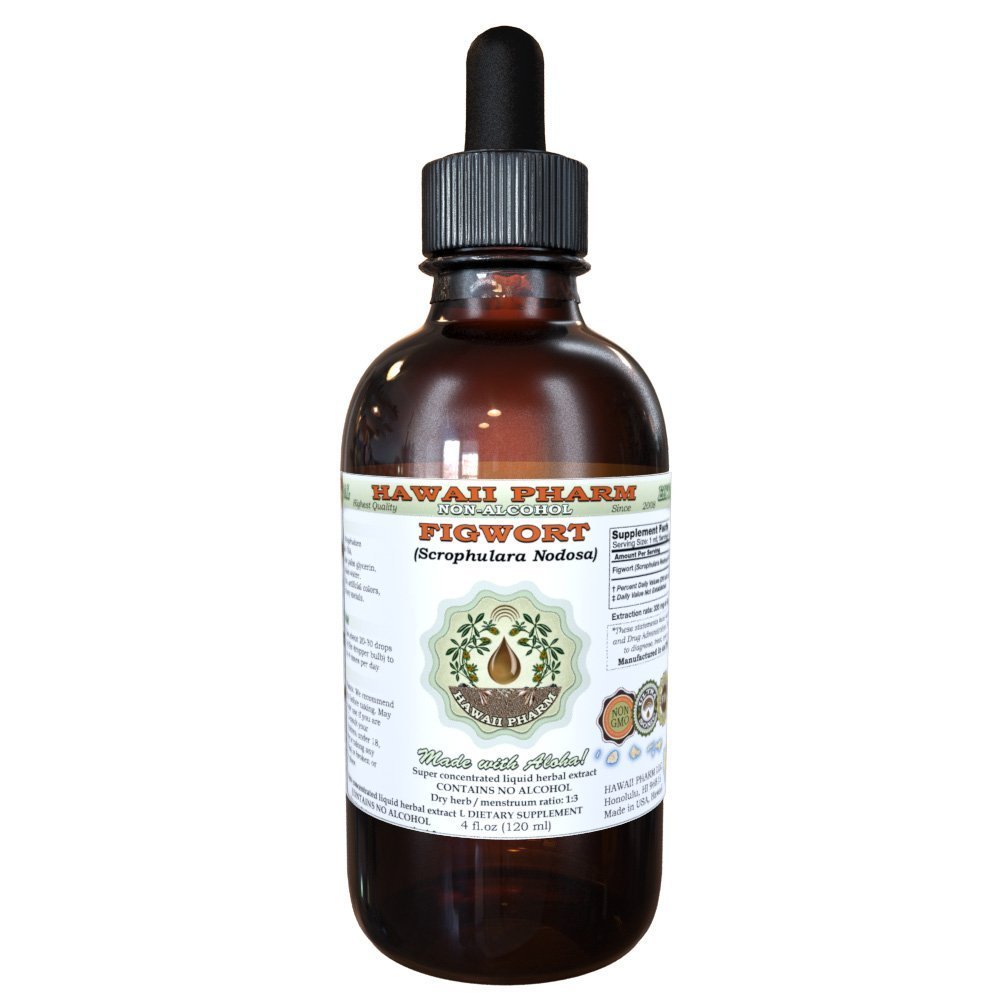 Hawaii Pharm Figwort Alcohol-Free Liquid Extract, Figwort (Scrophulara Nodosa) Dried Herb Glycerite Natural Herbal Supplement 4 oz