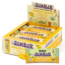 JAMBAR Energy Bars, Organic Protein Bars, Gluten Free Snack Bar, 10g Plant Protein, Vegan, Healthy Snacks, For Adults and Kids, USDA Organic, No Artificial Sweeteners, Musical Mango, 12-Pack