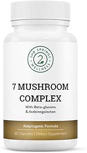 Organic Mushroom Complex - 7 Mushroom Blend immunforsvar Nootrop & Cognitive Health Supplement med Organic Lions Mane, Chaga, Maitake, Shiitake, Reishi, Tyrkiet Tails, Cordyceps Mix