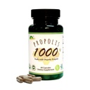 GREENBOW Propolis 1000mg _ NonGMO Lavet med Organic Propolis _ 60 Kapsler _ VEGAN Capsules