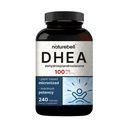 NatureBell DHEA 100mg, 240 kapsler; Max Strength, Mikronized Grade for Better Absorption - understøtter energi niveau, Metabolisme, og sund aldring for mænd og kvinder - ikke-GMO, Lavet i USA