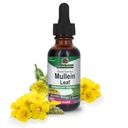 Nature's Answer Mullein Leaf with Organic Alcohol, 1-Fluid Ounce