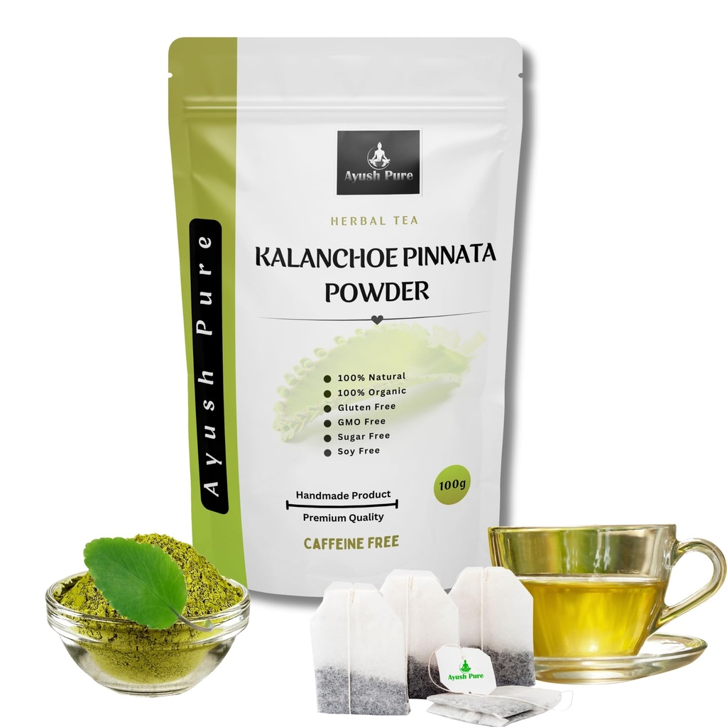 100g Kalanchoe Pinnata Leaves Powder Leaf of Life
