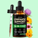 Venture Pal 16-in-1 Lymphatic Drainage Drops - 120 Servings - Echinacea, Dandelion & Vitamins, Alcohol-Free, 4 fl oz