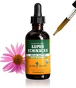 Herb Pharm Certified Organic Super Echinacea Liquid Extract Drops til aktiv immunsystem support, 2 Oz