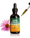 Herb Pharm Certified Organic Super Echinacea Liquid Extract Drops til aktiv immunsystem support, 2 Oz