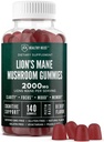 Lions Mane Mushroom Gummies for voksne, 140 Grev Bulk Lions Mane Chewables, High Potency 10: 1 Organic Extract beløber sig til 2000mg, Support Supports Mental Clarity, Focus, Mood og Brain Fog
