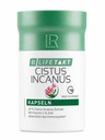 LR Health & Beauty Lifetakt Cistus Kapseln Vitamins C and E Women Men Day Care for Daily use 60 pcs