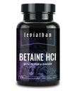 Leviathan Betaine HCl med Pepsin & Ginger - fordøjelsesenzymer supplement til fordøjelsesstøtte og støtte, Mavesyre & næringsstof Absorption