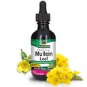 Nature's Answer Mullein Leaf Fluid Extract, 2 fl oz (60 ml)