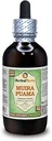 Muira Puama (Ptychopetalum Olacoides) Glycerit, Organic Alcohol- Free Liquid Extract (Brand Name: HerbalTerra, Stolt Made in USA) 4 fl.oz (120 ml)