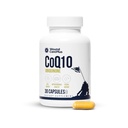 Wound Care Plus CoQ10 Supplement – Ubiquinone Antioxidant for Cellular Energy & Heart Health – Supports Vitality & Healthy Aging – 30 Capsules – Non-GMO, Gluten-Free, Keto Friendly
