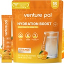 Venture Pal Sugar Free Electrolyte Powder Packets - Flydende Daily IV Drink Mix for Rapid Hydration & Party Recovery