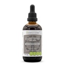 Secrets of the Tribe - Chronic Fatigue Secret, Herbal Supplement Blend Drops Alcohol-Free Liquid Extract, Energy/Endurance Formula (4 fl oz)