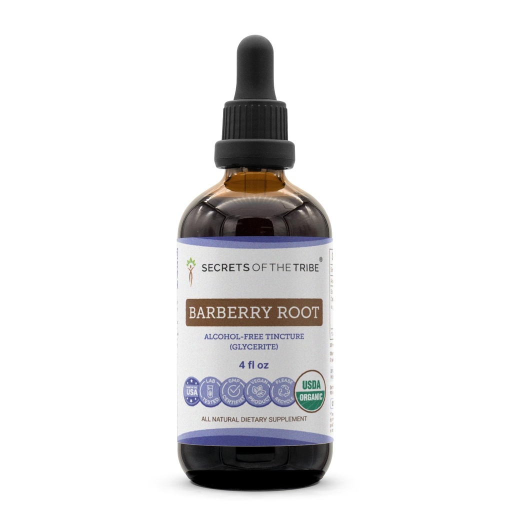 Secrets of the Tribe Barberry Root USDA Organic | Alcohol-Free Extract, High-Potency Herbal Drops | Made from 100% Certified Organic Barberry (Berberis vulgaris) Dried Root Bark (4 oz)