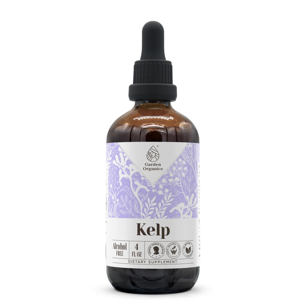 Kelp Alcohol-Free Natural Tincture Extract, Immune System Booster, Liquid Drops Made from 100% (4 fl oz)