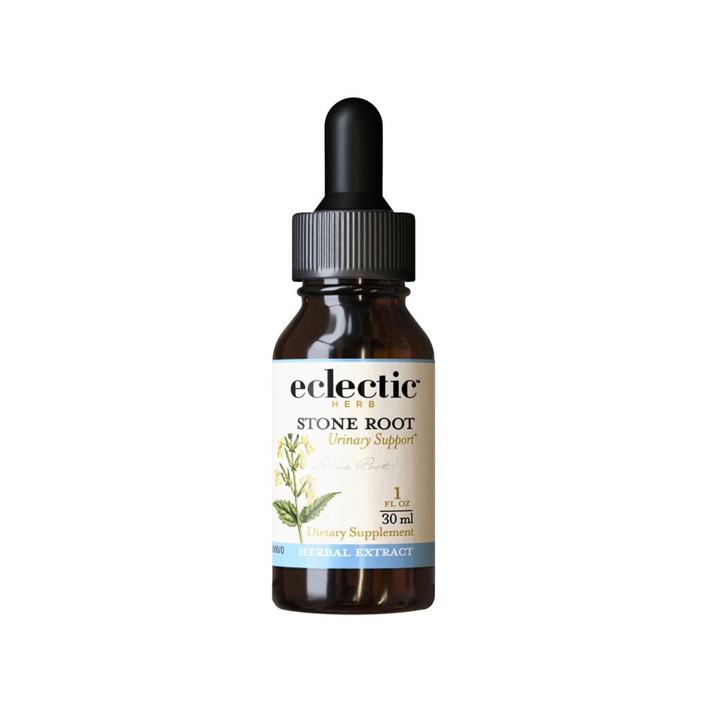 Eclectic Herb - Stone Root Extract Liquid Drops | Urinary Tract Support | Herbal Tincture | US-Grown, Vegan, Non-GMO, Gluten Free (1 fl oz | 30 ml)