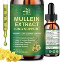 (2 Pack) 6 I 1 Mullein dråber til Lungs, Organic Mullein Leaf Extract tinktur til Lungs, Detox Rense & Respiratory for Breathing Health, Mullein Oil Supplement immunforsvar, Vegan, 1 Fl Oz