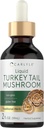 Carlyle Turkey Tail Mushroom Extract Liquid Tincture - 124; 2 FL Oz - 124; Vegetarian Drops - 124; Non- GMO, Gluten Free Supplement