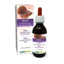 Naturalma Reishi (Ganoderma lucidum) Svampe eller champignon Alkoholfri tinktur - 4 fl oz flydende ekstrakt i dråber - Urtetilskud - Vegan