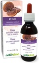 Naturalma Reishi (Ganoderma lucidum) Svampe eller champignon Alkoholfri tinktur - 4 fl oz flydende ekstrakt i dråber - Urtetilskud - Vegan