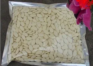 100% Pure & Organic Royal Jelly lyofilized Powder Tablet 100 Bedste 10- HAD 6,0%