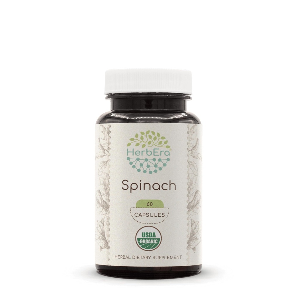 HerbEra Spinach USDA Organic 60 Capsules | Natural Herbal Supplement | Certified Organic Vegetarian Capsules and Organic Spinach (Spinacia oleracea) Dried Leaf (60 Capsules)