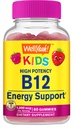 WellYe Vitamin B12 Gummies for Kids - Boost Energy, Forbedre hjernefunktion, og styrke immunsystemet - Non-GMO, Gluten- Free - Great Tasting Berry Flavor - Let at tygge - 60 Gummies