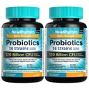 NewRhythm Probiotika 120 Millioner CFU 36 Strops, 3- in-1 Probiotika til fordøjelse sundhed & immunforsvar med Prebiotika & enzymer, Probiotika til kvinder & mænd, Vegansk målrettet udgivelse Supplement, 60ct