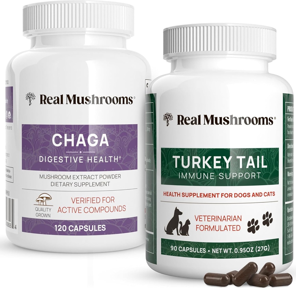 Ægte svampe Chaga for mennesker (120ct) & Tyrkiet Hale for kæledyr (90ct) - Bundle for fordøjelsessygdomme og immunitet - Vegan, ikke-GMO, Grain- Free, Gluten- Free Mushroom Udtræk Kapsler